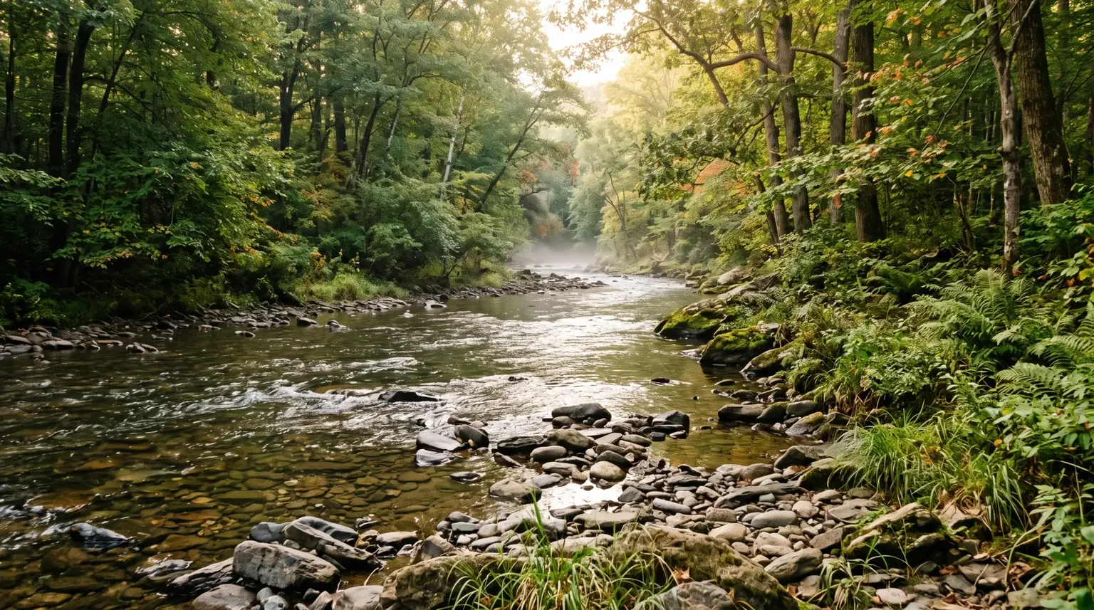 Illustrative woodland stream flowing over stones under green trees